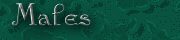 Psi